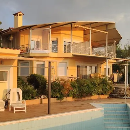 Basile 1 Kalamata